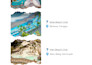 plan your trip in bali by itinerary